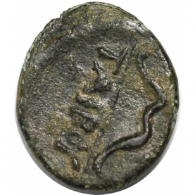 AE 282 - 263 v. Chr revers