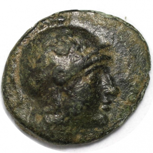 AE 282 - 263 v. Chr avers